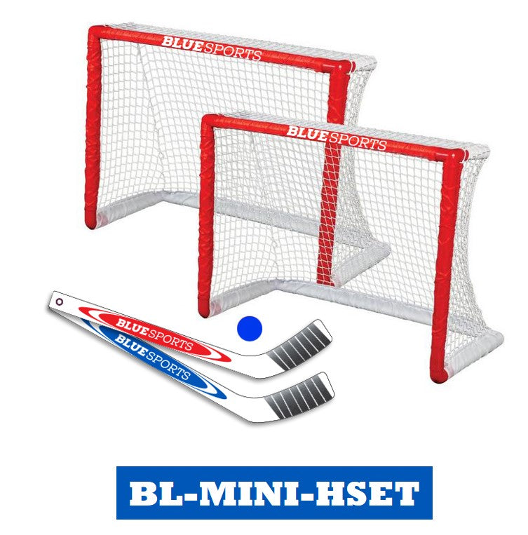 Ensemble de but mini hockey