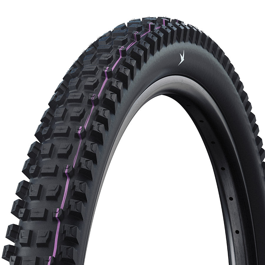Albert Trail Pro