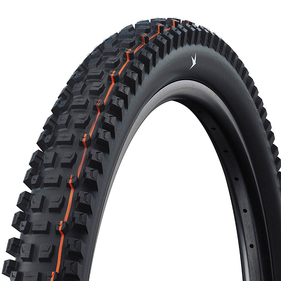 Albert Trail Pro
