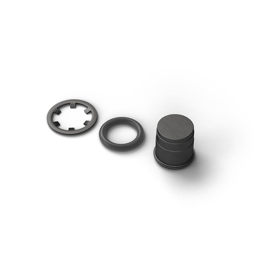 SwissStop, E-Bike Magnet, for center lock rotors