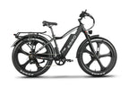 Emmo E-Wild 48V/25AH Battery