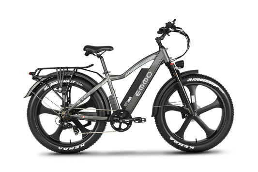 Emmo E-Wild 48V/25AH