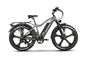 Emmo E-Wild 48V/25AH